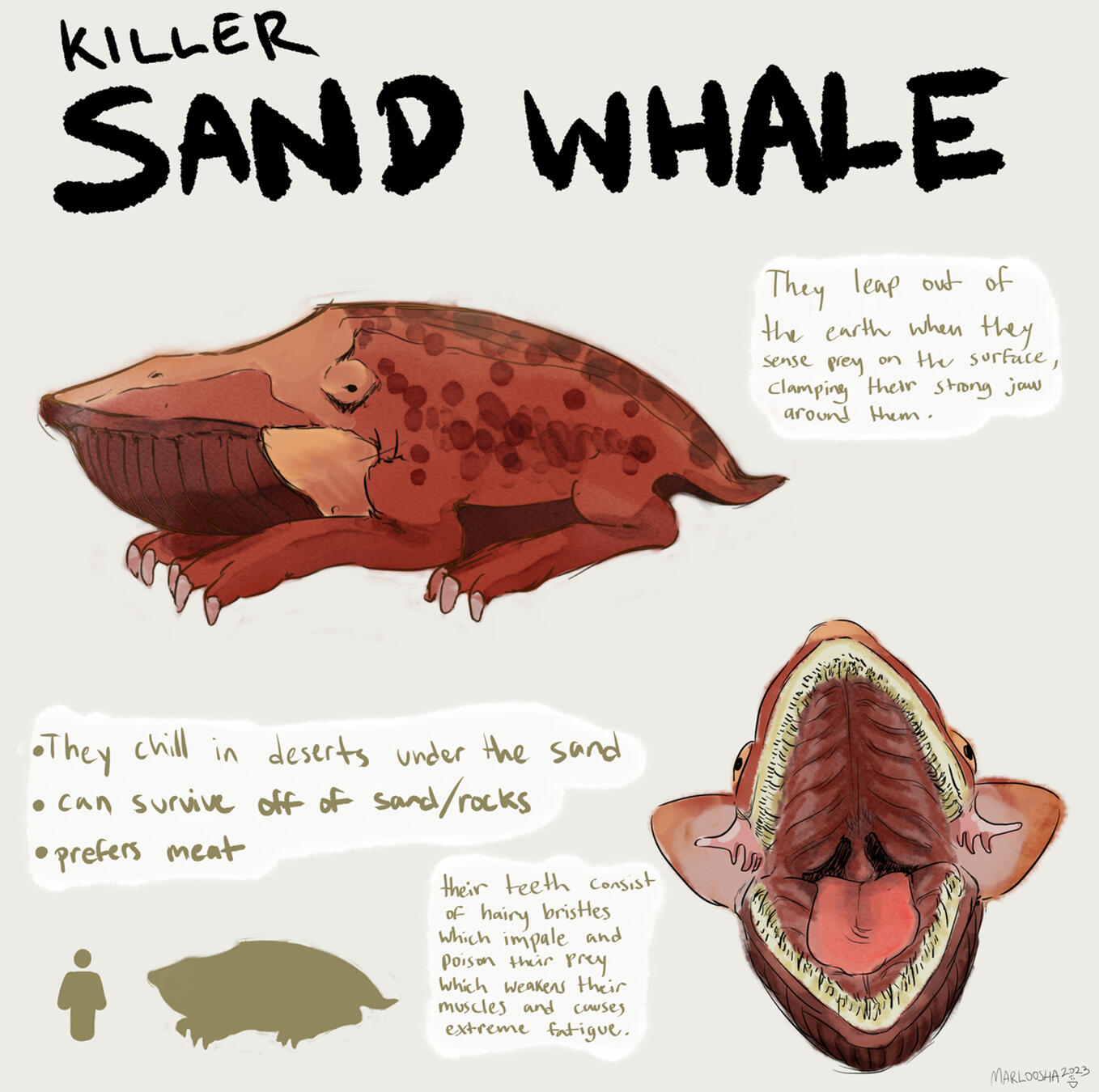 Sand Whale concept